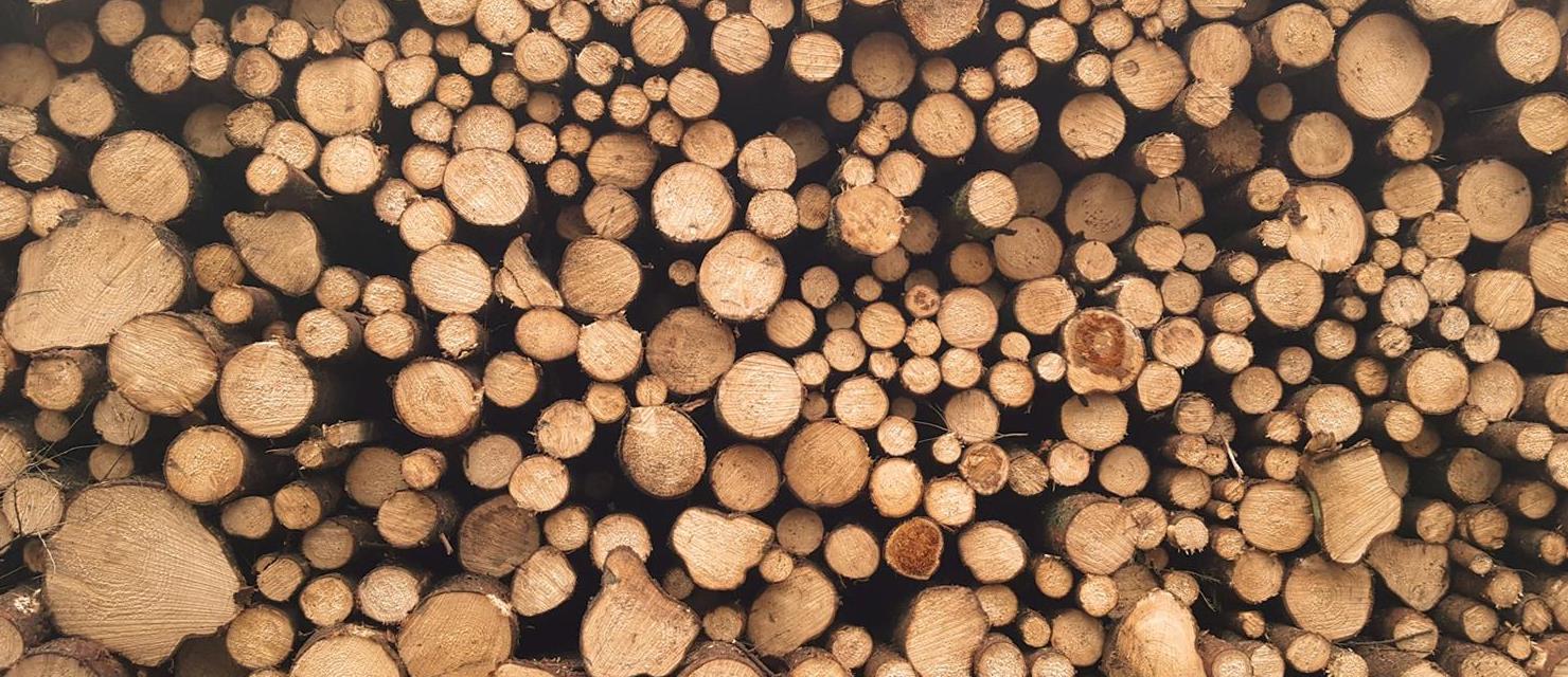 Grupacija poslodavaca iz oblasti drvne industrije 