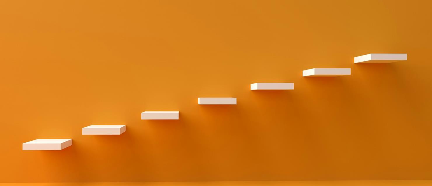 Hronologija najznačajnihih aktivnosti